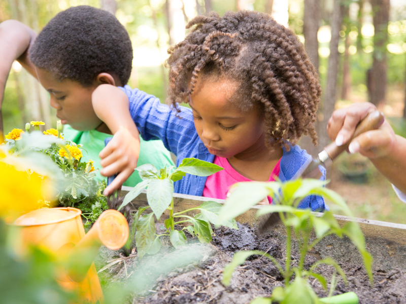 kidsgardening